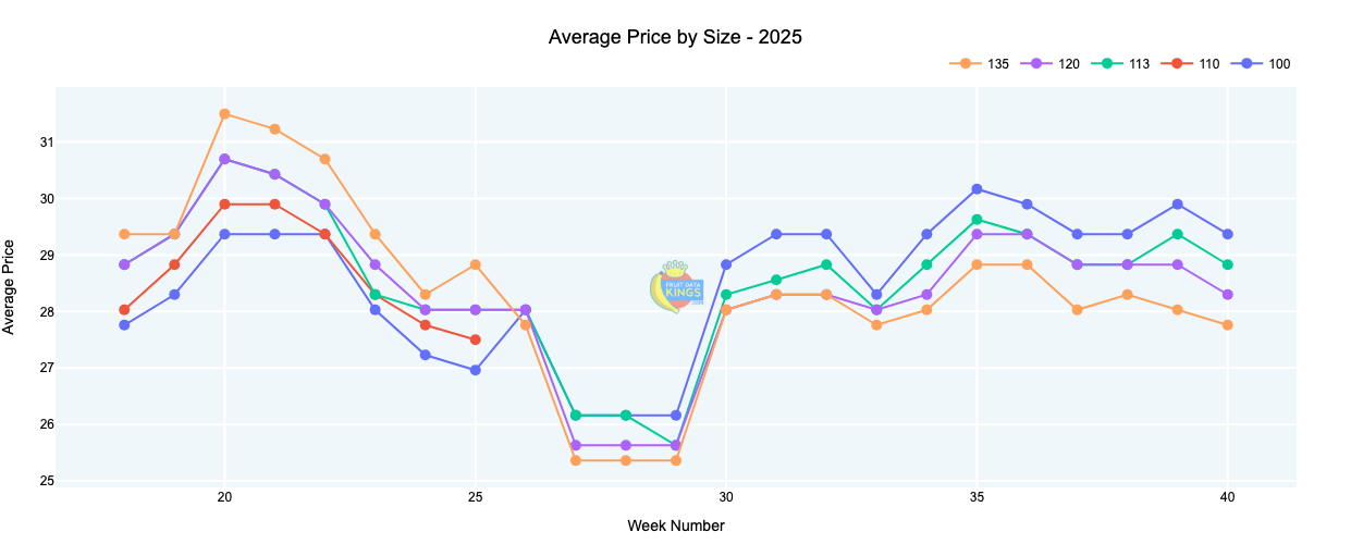 Royal Gala | South Africa | Jeddah