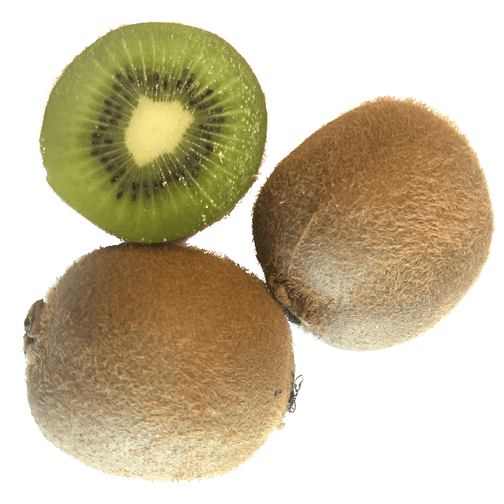 Kiwi Icon